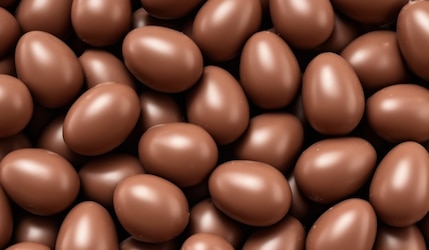 Schokobons